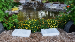 4Création aménagement basin