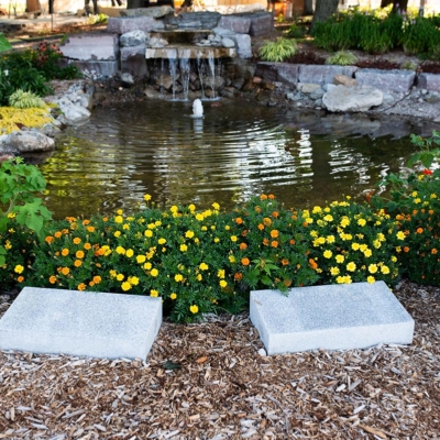 4Création aménagement basin