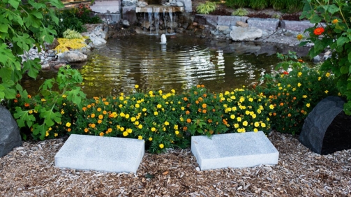 4Création aménagement basin